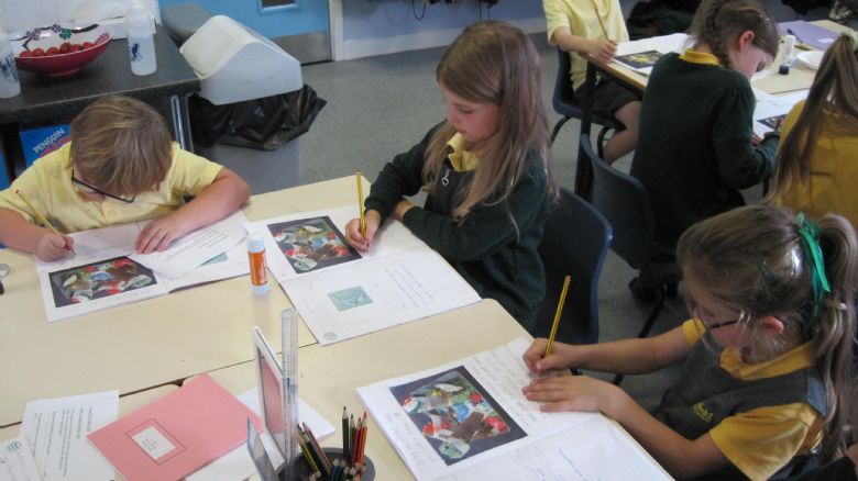 Year 2 topic lesson